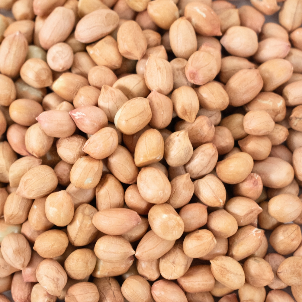 Grondnoten gepeld 40/50 met vlies 500 g "Ambition" - Afbeelding 2